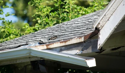 Gutter Repair