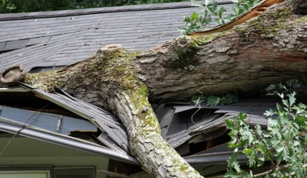 Wind and Water Damage Restoration